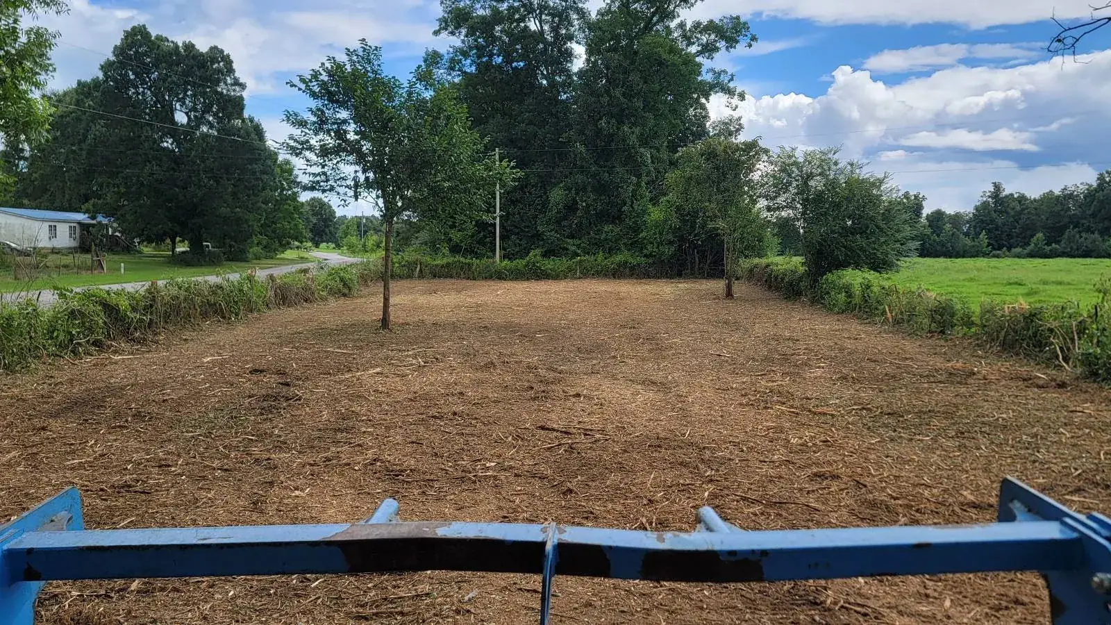 Forestry mulching seen from the cab: brush along a pasture edge ground down to a mulched strip