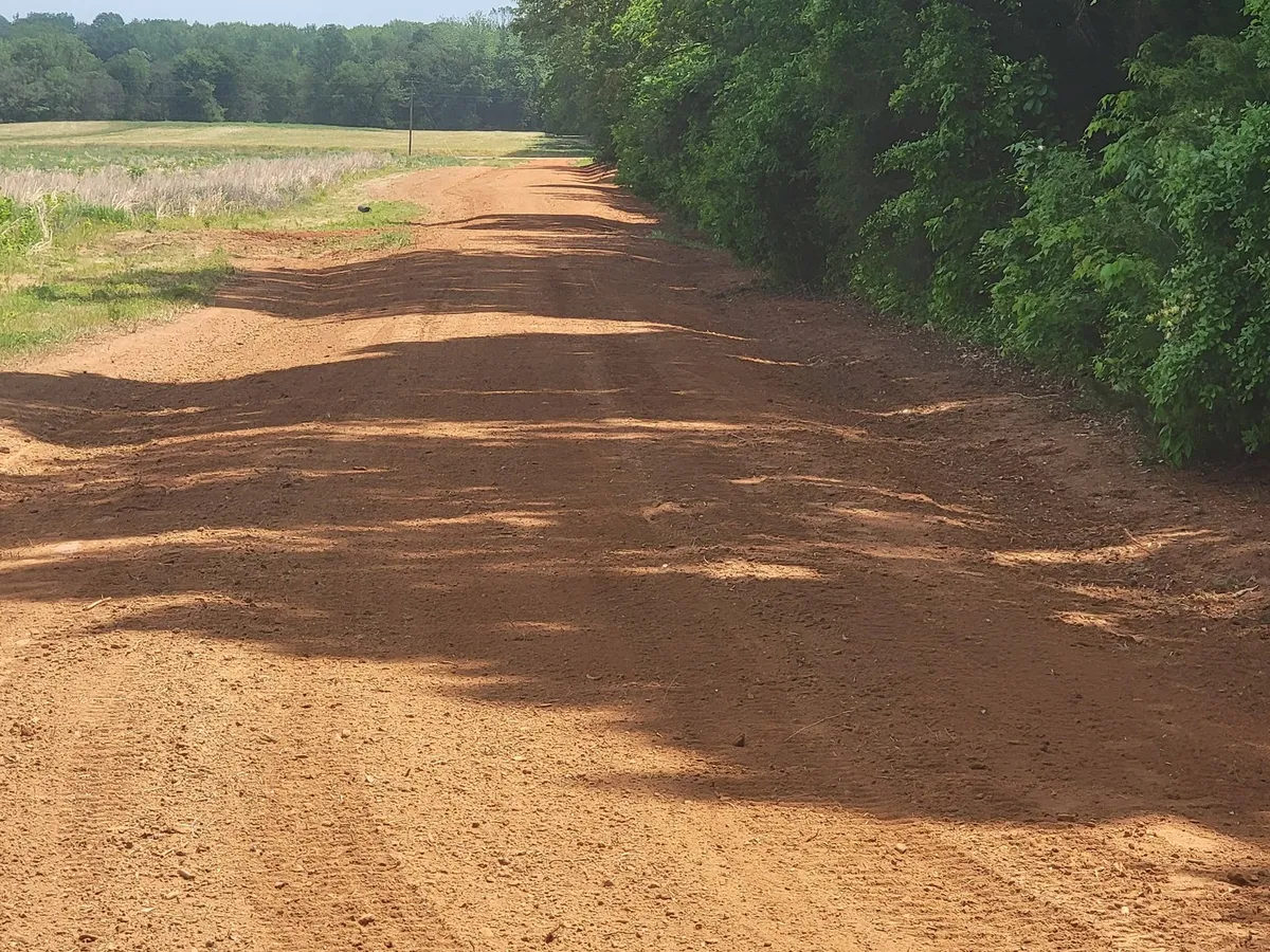 A drainage ditch cut along a new red clay driveway beside the woods