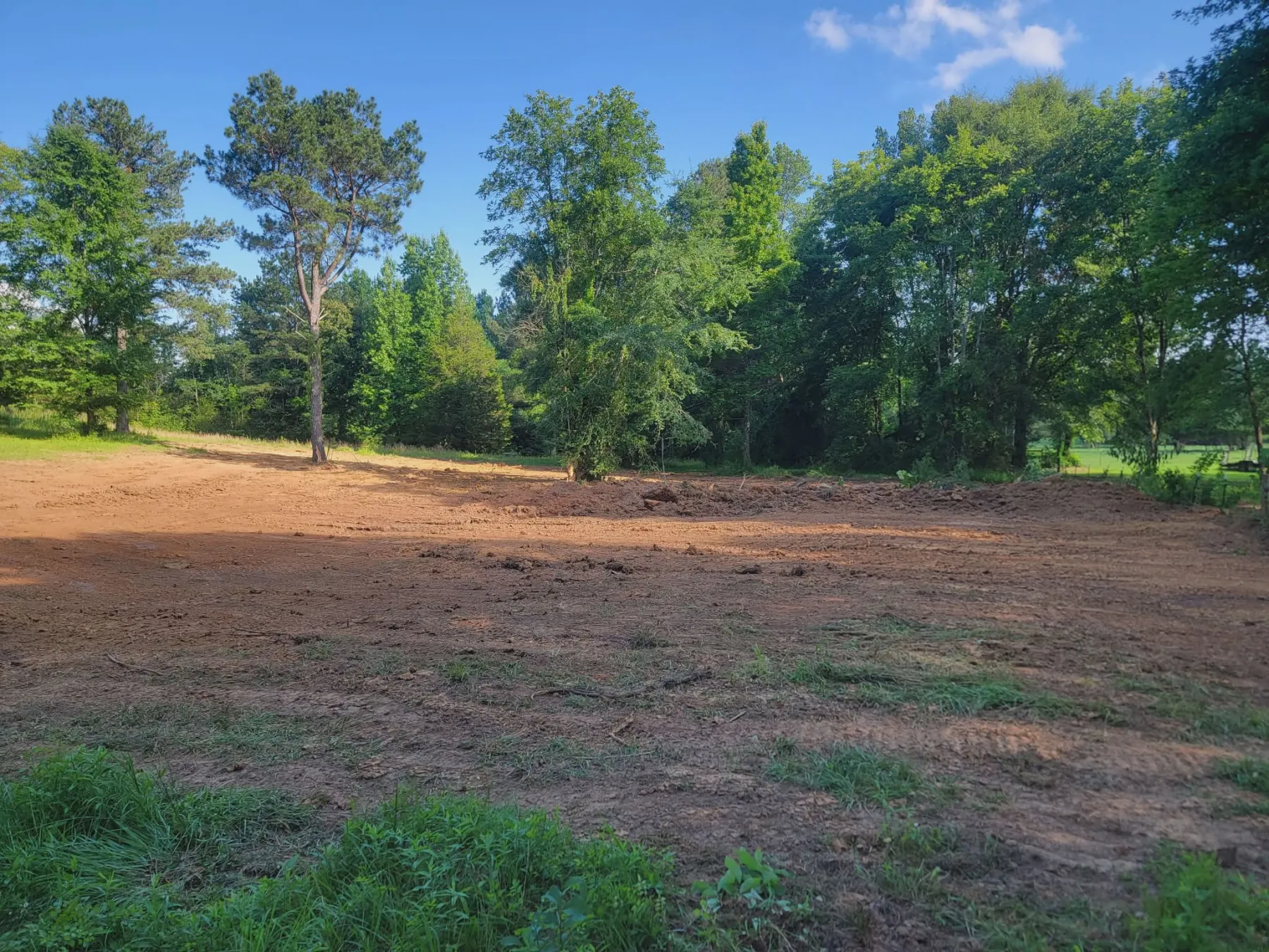 Grading Contractor in Trinity, AL