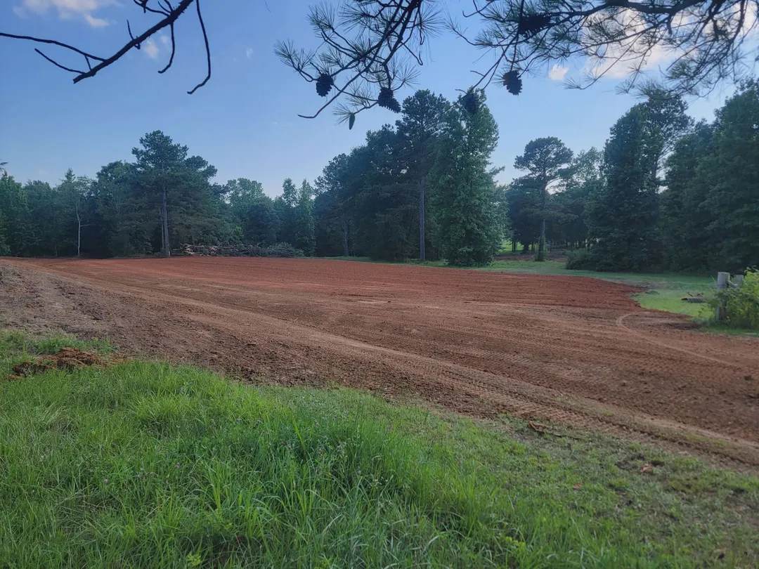 Red clay ground leveled and graded smooth at the edge of a stand of pines