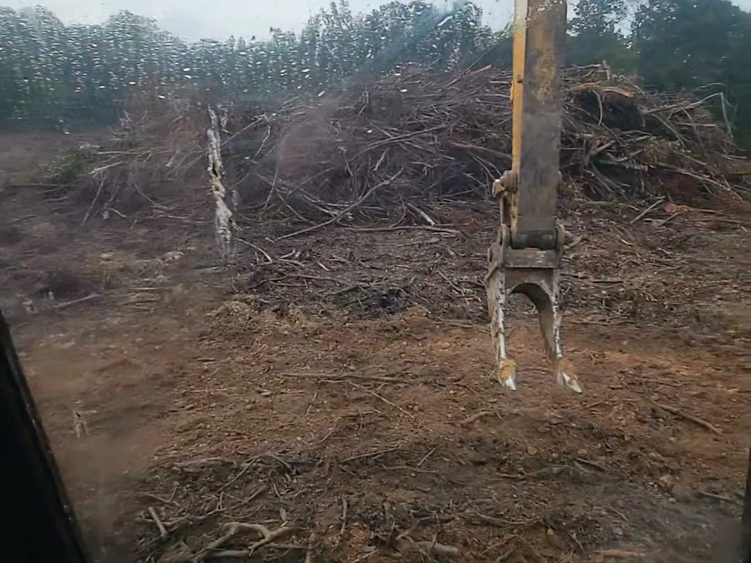 Pulled stumps and roots on a cleared tract, seen from the trackhoe cab